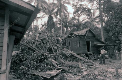 RUMAH DITIMPA POKOK DI KAMPUNG PAYA JARAS