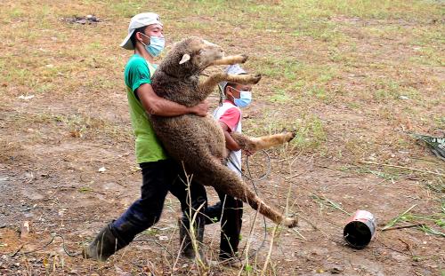 SUASANA HARI RAYA KORBAN DALAM PERLAKSANAAN PKPP
