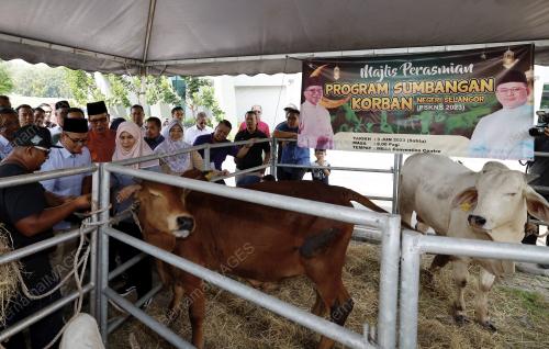 DATUK SERI AMIRUDIN SHARI