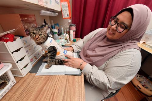NUR HANARIAWATI NOHD NAJIB