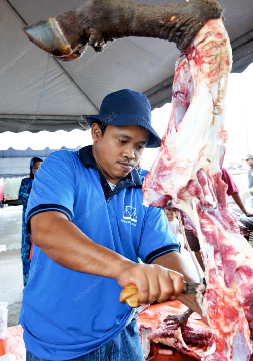 KORBAN PERDANA PARLIMEN TG. KARANG