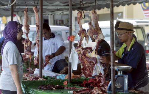 SG03_11092016_RAYA_LEMBU