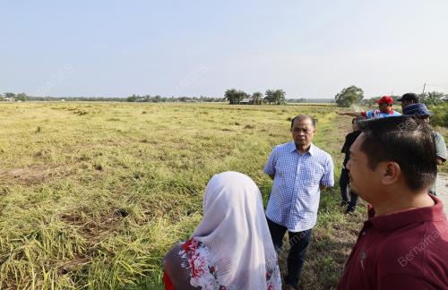 DATUK SULAIMAN ABDUL RAZAK