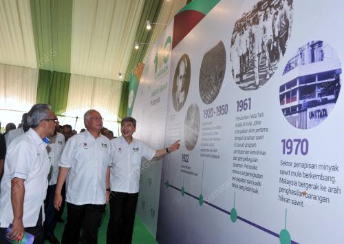 SG03_18052017_SAWIT_BN201705173957