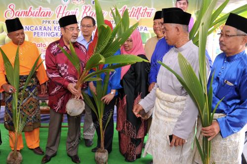 SG03_18072017_MOA_KELAPA