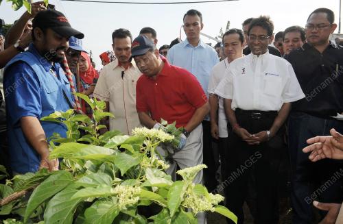 SG03_19072014_TPM_DENGGI