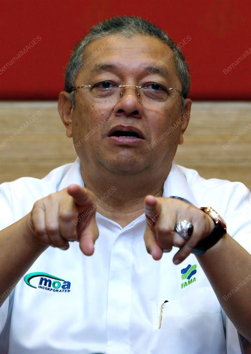 BADRUDDIN AMIRULDIN