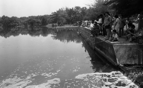 SG03_23102015_MEMANCING