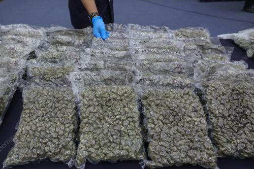 DADAH JENIS BUNGA GANJA