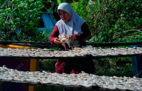 TINJAUAN PENGHASILAN IKAN MASIN DALAM PKP 2.0