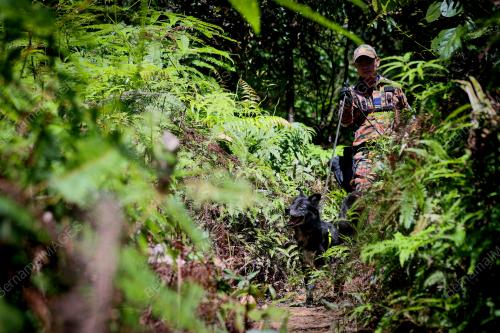 SAR ORANG HILANG DI BUKIT CHANGKAT ASA