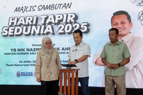 NIK NAZMI NIK AHMAD