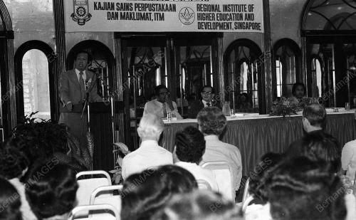 MUSA HITAM