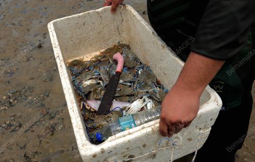 TINJAUAN PENDUDUK MENCARI HASIL LAUT DI NEGERI FASA 1 PPN