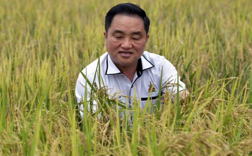 DATUK NG SUEE LIM