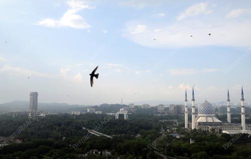 SG03_29052019_SHAH_ALAM_BN201905