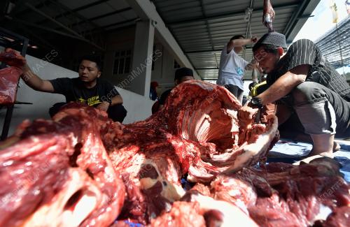 IBADAH KORBAN 2023