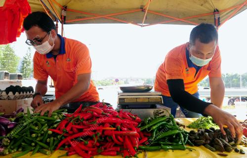 PEMATUHAN SOP PENGUNJUNG KE PASAR TANI