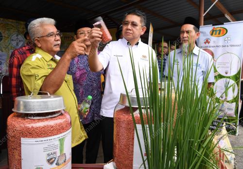 SG04_03042019_MOA_PADI_BN201903294860