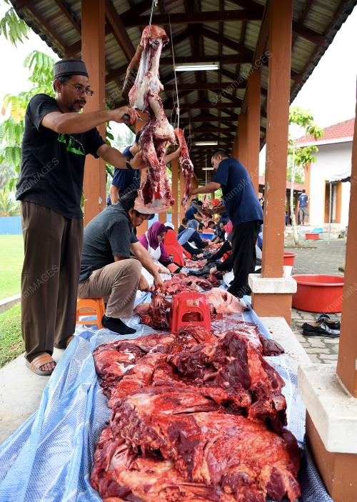 SG04_04092017_LZS_KORBAN