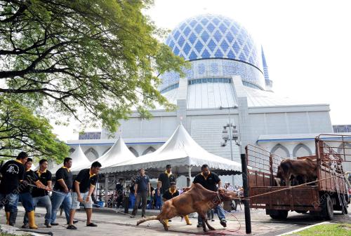 SAMBUTAN HARI RAYA KORBAN