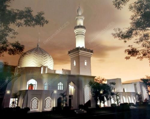 SULTAN SHARAFUDDIN IDRIS SHAH