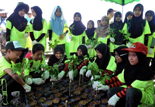 SG04_07112015_POKOK