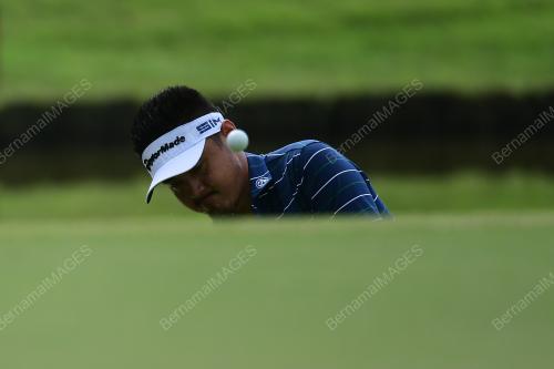 LIU YANWEI
