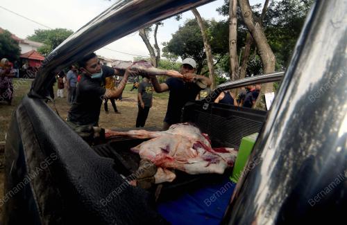 TINJAUAN IBADAH KORBAN