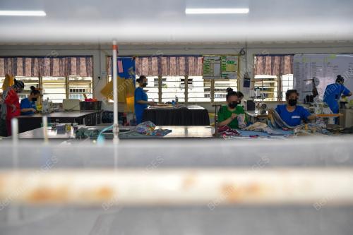 PROJEK REBEN KUNING TAHUN 2024