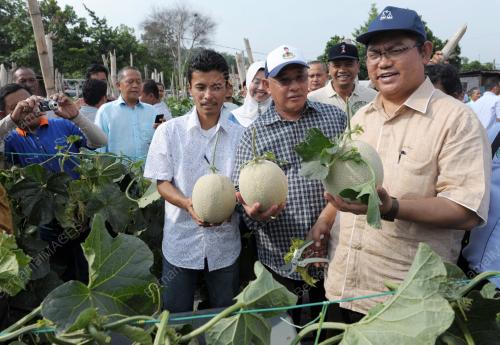 DATUK SERI NOH OMAR