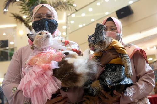 RUMAH TERBUKA HARI RAYA AIDILFITRI KELAB KUCING MALAYSIA