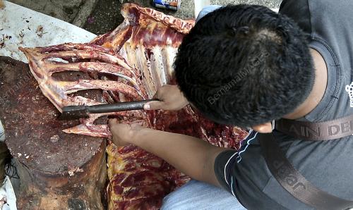 SG04_11092016_RAYA_LEMBU