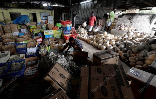 PERSIAPAN PERAYAAN PONGGAL