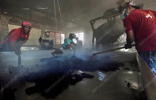 USAHAWAN SERBUK KOPI