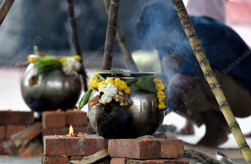 PESTA PONGGAL