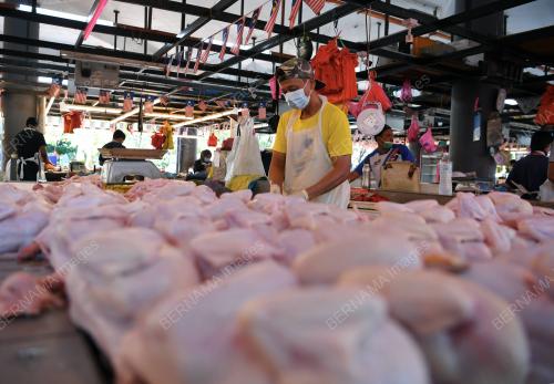 PEMANTAUAN HARGA AYAM OLEH KPDNHEP