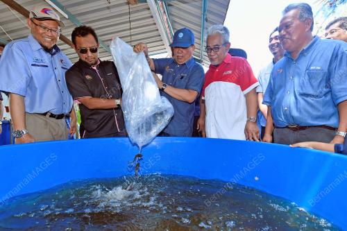 DATUK SERI MOHAMAD SABU