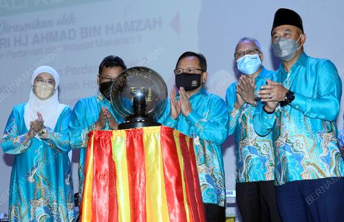 DATUK SERI AHMAD HAMZAH