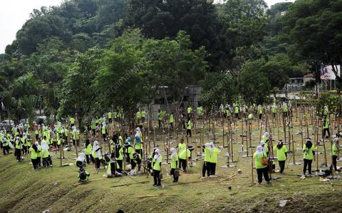 SG04_26102013_GOING_GREEN