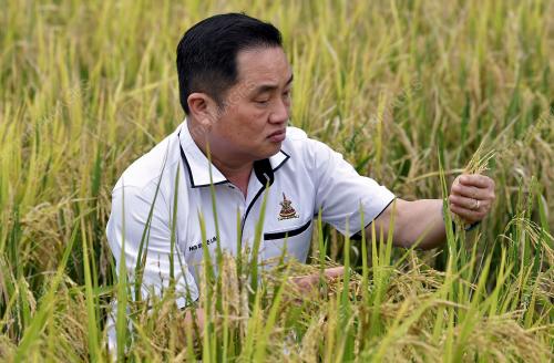 DATUK NG SUEE LIM