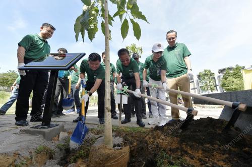 PROGRAM PENANAMAN POKOK DI ANTARA PKNS & LIONS CLUB