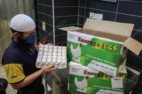 BEKALAN TELUR AYAM