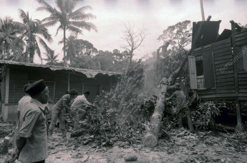 RUMAH DITIMPA POKOK DI KAMPUNG PAYA JARAS