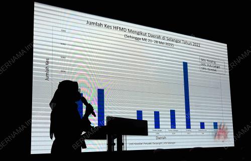 MESYUARAT TOWNHALL HFMD