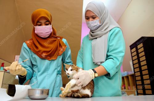 TINJAUAN PENGOPERASIAN KLINIK HAIWAN