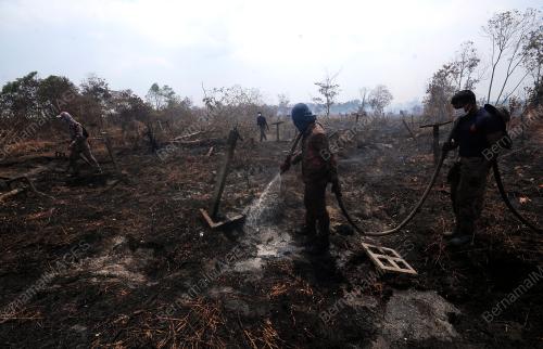 OPERASI PEMADAMAN KEBAKARAN HUTAN SIMPAN KUALA LANGAT SELATAN
