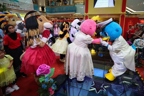 CAPTAIN QUACK AND LADY QUACK WEDDING
