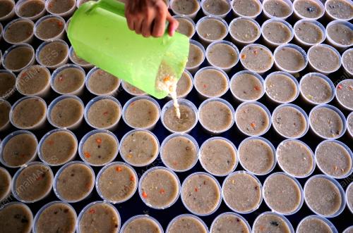 SG05_08052019_BUBUR_BN201905