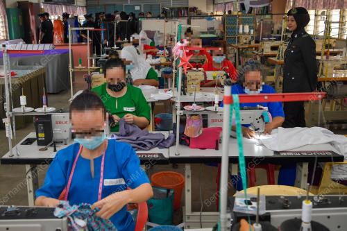PROJEK REBEN KUNING TAHUN 2024